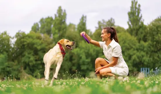 Gymnasium at Astra NIBM